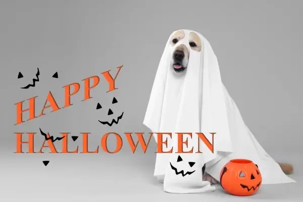 Happy Halloween from Cardan Mortgage Inc.